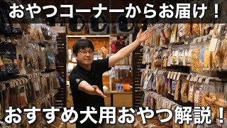 おやつコーナーからお届け！おすすめ犬用おやつを接客の様に解説します！