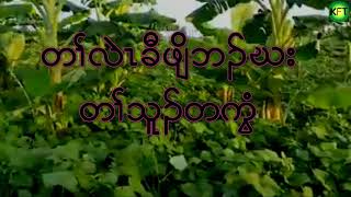 Funny Banana Planting Experience Sharing-သူၣ်တကွံအတၢ်လဲၤခီဖျိ #KarenFunnyStory #KarenStory