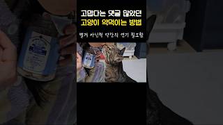 거를 타선이 없는 신박한 방법