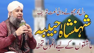 Shenshah Habiba Madiney Diya Heart Touching Punjabi Kalam || Owais Raza Qadri Punjabi Naat Shareef