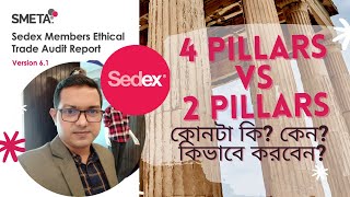 Sedex 4 Pillar audit কি? কেন? কিভাবে করে? Scope, Manday? Social Compliance Audit Bangla, Tapu Saha