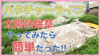 【バクチャーライフ】太陽熱で除草！？ やってみた！