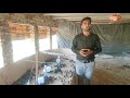 how to start small poultry business in pakistan poultry farming in pakistan poultry business plan