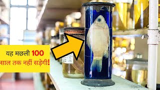 Why is Alcohol Used to Preserve Things? | Specimen Preservation | Wet Specimen