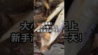 新手一样上大鱼 #fishing #fish #fishingvideo #casting #river  #outdoors #钓鱼 #钓鱼分享 #路亚 #野钓 #小物釣り #钓鱼生活 #钓鱼人