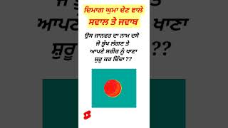 ਹੈਰਾਨ ਕਰ ਦੇਣੇ ਵਾਲੇ ਸਵਾਲ #shorts #youtube #punjabi #education #youtubeshorts #punjabiworld