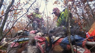 Drückjagd in der Brombeer-Hölle mit der Sauhund-Meute – Hunt on Demand Ausschnitt