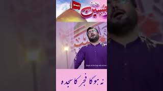 Tere bagair Hussain a.s || Mir Hasan Mir 2023 || whatsapp status || #viralvideo #shortvideo