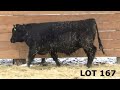 lot 167