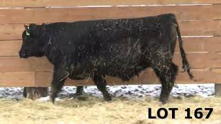 LOT 167