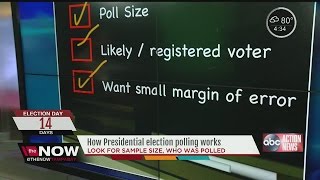 How Presidential election polling works