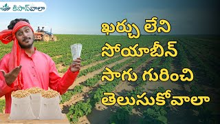 ఖర్చు లేని సోయాబీన్ సాగు గురించి తెలుసుకోవాలా | Integrated pest management in soyabean video