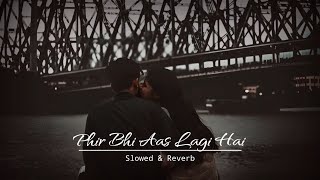 Phir bhi aas lagi hai ||Slowed & Reverb|| DOLBY DIGITAL| Dil deewana | Aankhon mein tera hi chehra |