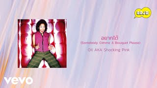 Oil Shocking Pink - อยากได้ (Somebody Gimme A Bouquet Please) (Official Lyric Video)