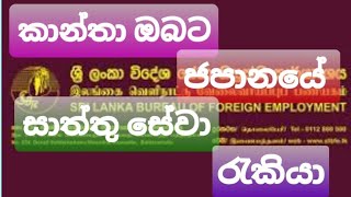 කාන්තාවන් සදහා ජපානයේ සාත්තු සේවා රැකියා • වි.සේ. නි. කාර්‍යාංශය| Job Vacancies in Japan for Women