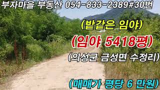 시퀀스 03 1#매물 30번  경북 의성군 금성면 수정리 임야5418평 평당 6만원#의성임야#의성가족묘터#의성시골촌집#경북부동산#의성부동산#영천부동산