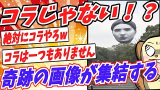 マジでコラだと思った画像を貼り付けたやつが優勝【2ch面白いスレ】