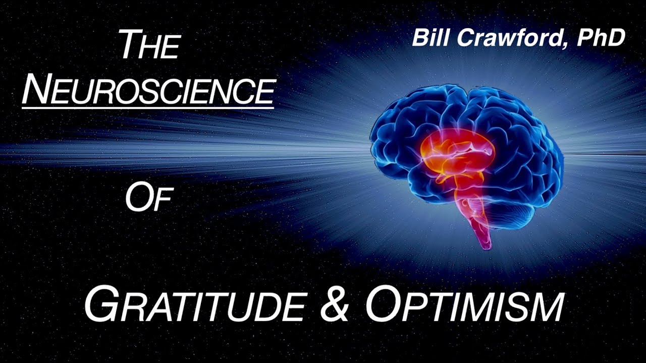 The Neuroscience Of Gratitude And Optimism - YouTube