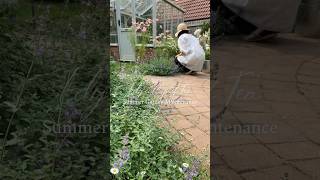 ガーデニング、晩夏の庭にて🌸Summer Garden Maintenance #イギリス #ガーデニング #gardening #england