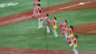 阪神タイガース　チアガールお披露目