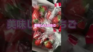 野菜直売所は、新鮮野菜の宝庫！ありがたい！#コロナに負けるな #おすすめ #お腹いっぱい #安い #野菜 #直売所 #いちご