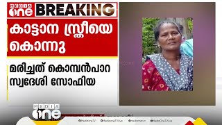 ഇടുക്കി പെരുവന്താനത്ത് കാട്ടാനയാക്രമണത്തിൽ സ്ത്രീ കൊല്ലപ്പെട്ടു; സംഭവം അരുവിയിൽ കുളിക്കാൻ പോയപ്പോൾ