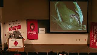 WN@TL - Genetically Engineered Crops (GMOs): Fact and Fiction.  Rick Amasino 2016.12.14