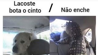 40 minutos de memes em imagens!