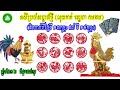 រាសីធំប្រចាំសប្តាហ៍ ឆ្នាំទាំង១២ ពីជូត ដល់កុរ គិតចាប់ពីថ្ងៃទី ១៣កុម្ភះ ដល់ទី១៩កុម្ភះ