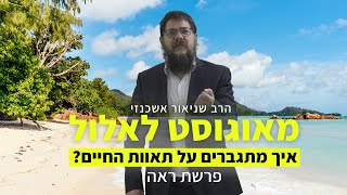 הרב שניאור אשכנזי - פרשת ראה • מאוגוסט לאלול: איך מתגברים על תאוות החיים?