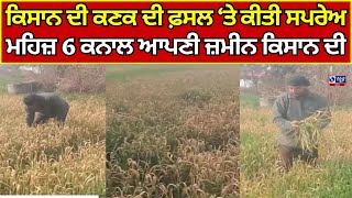 Gurdaspur News | ਗਰੀਬ ਕਿਸਾਨ ਦੀ ਕਣਕ ਦੀ ਫ਼ਸਲ ‘ਤੇ ਸਪਰੇਅ | India News Punjab