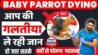 Baby Parrot Liye Ho To Ye Galti Kabhi Mat Karna 🦜😱 baby parrot kyu mar jate hai | Baby parrot care