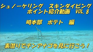 シュノーケリング・スキンダイビング　ポイント紹介動画VOL.8　　　　　崎本部　ポテト編