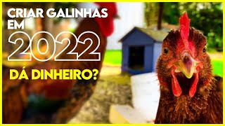 💡 Ainda dá DINHEIRO criar GALINHA? Como faturar em seu SÍTIO em 2022.