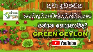 කුඩා ඉඩකඩක සාර්ථකව ගෙවතු වගාවක් කරන ආකාරය ගැන පැහැදිලිව කියලා දෙන green ceylon යූටියුබ් නාලිකාව