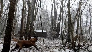 赶在大雪来临的时候在野外搭建一座庇护所来度过寒冷的夜晚