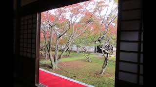 京都の紅葉　妙覚寺庭園