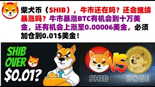 柴犬币（SHIB），牛市还在吗？还会继续暴涨吗？牛市暴涨BTC有机会到十万美金，还有机会上涨至0.00006美金，必须加仓到0.01$美金！shib币|柴犬币|屎币行情分析！