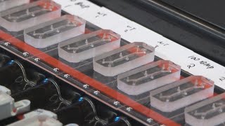 Urmc Scientists Develop New Way To Study Leukemia