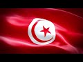 drapeaux tunisie علم تونس flag tunisia