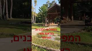 המפלים הלבנים, שם עולים על אבנים גדולות לאורך המפלים, והאבנים צבעם לבד, צ'יאנג מאי, תאילנד