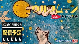 【ライブカメラ】1月の満月ウルフムーン／今年初めての満月（千葉・幕張）