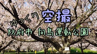 dji mavic mini【ゆっくり】山口県防府市•向島運動公園【楽しみたい】