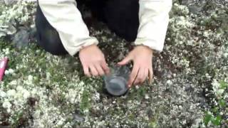 Northern Biodiversity Program