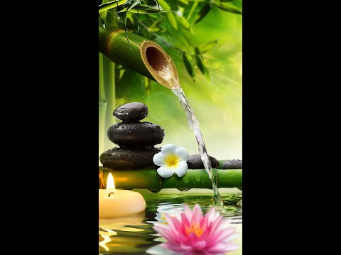 Relaxing music Bamboo water fountain Meditation music Sleep music Piano music Anti-stress music