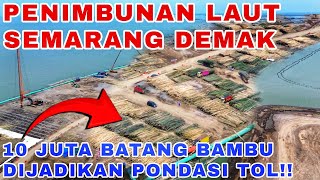 PENIMBUNAN LAUT GUNAKAN 10 JUTA BATANG BAMBU‼️Tol Semarang Demak Seksi 1