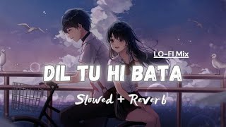 Dil Tu Hi Bata - Lofi (Slowed + Reverb) | Krrish | Sudhanshu Editz 2.0