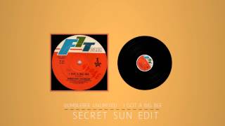 Bumblebee Unlimited - I Got A Big Bee Secret Sun Edit