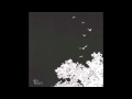 New Heights - Peaches