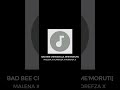 Malena X Commander X Morefza X Hlanyoza (Bad Bee Crew) - Walla Mme'Moruti (Official 45 Hit)